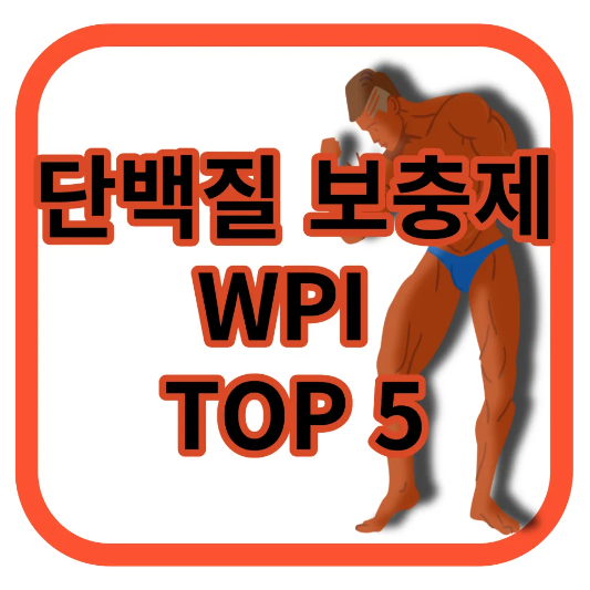 단백질 보충제 추천 썸네일