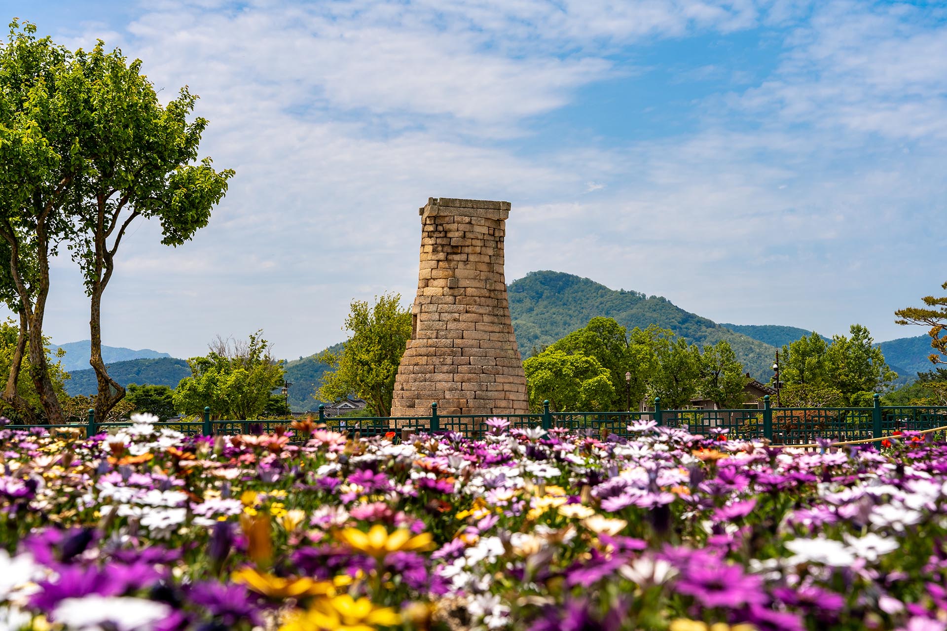 경주 첨성대 봄 꽃밭