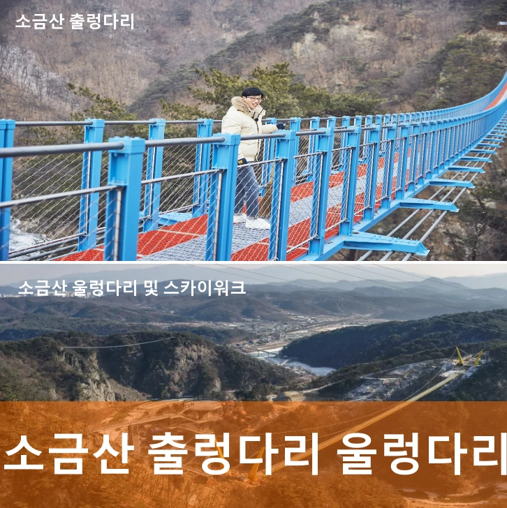 소금산 출렁다리 및 소금산 울렁다리 