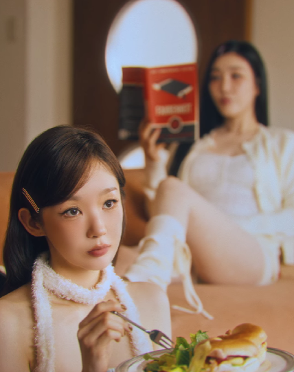 다비치 타임캡슐