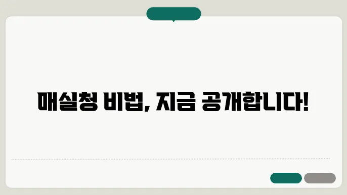 정확한 매실청 담그는 방법