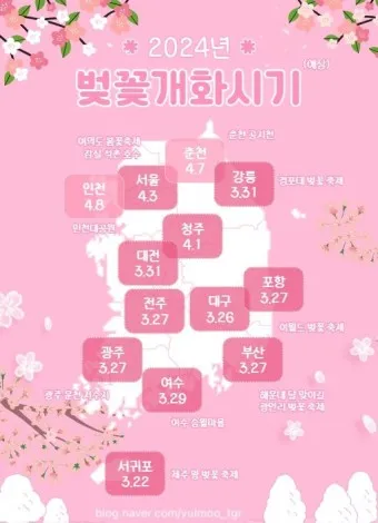 벚꽃 개화시기 2025 만개시기 히든스팟_3