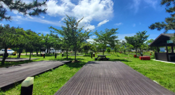 도초도 시목해수욕장