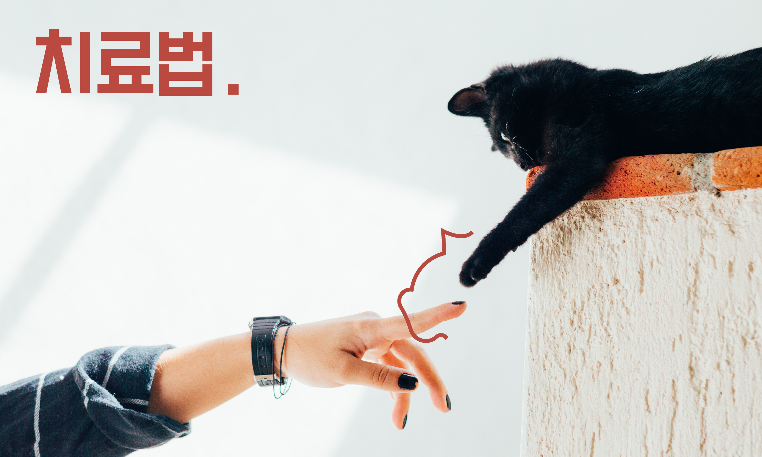 고양이-공격
