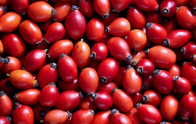 로즈힙퓨레 먹는 방법 8가지