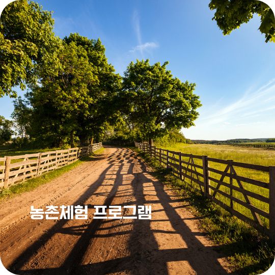 농촌체험 프로그램 선착순 예약하기