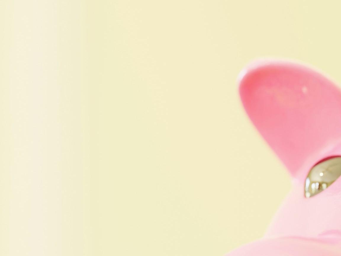 은행신용조회 발급방법 발급기관 