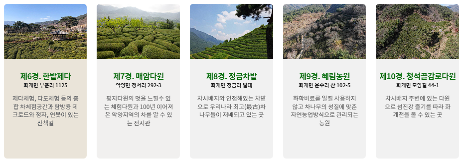 하동 세계차엑스포