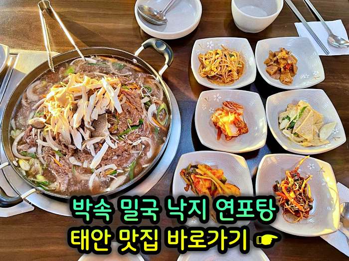생방송 투데이 충남 태안 낙지 한상 박속밀국낙지탕 맛집