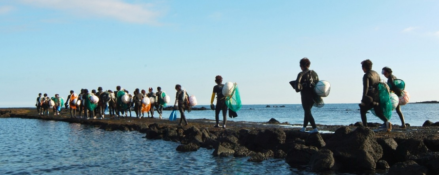 농신보 담보대출 자격