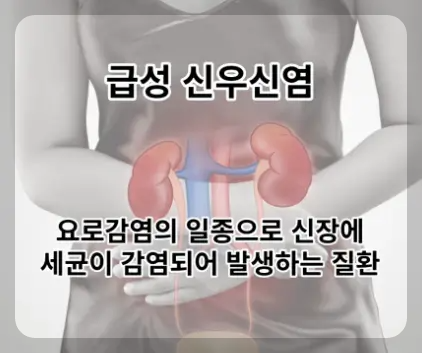신우신염