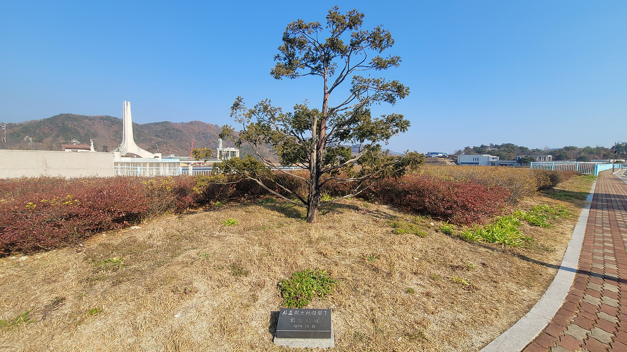박정희대통령 기념식수 표지석