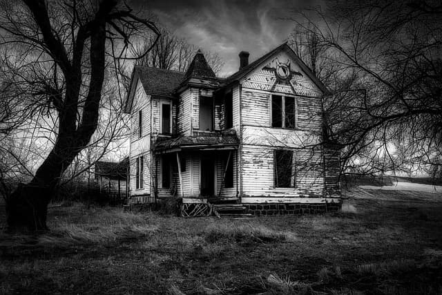 세계의 심야 버스 괴담, 어디까지 사실일까?