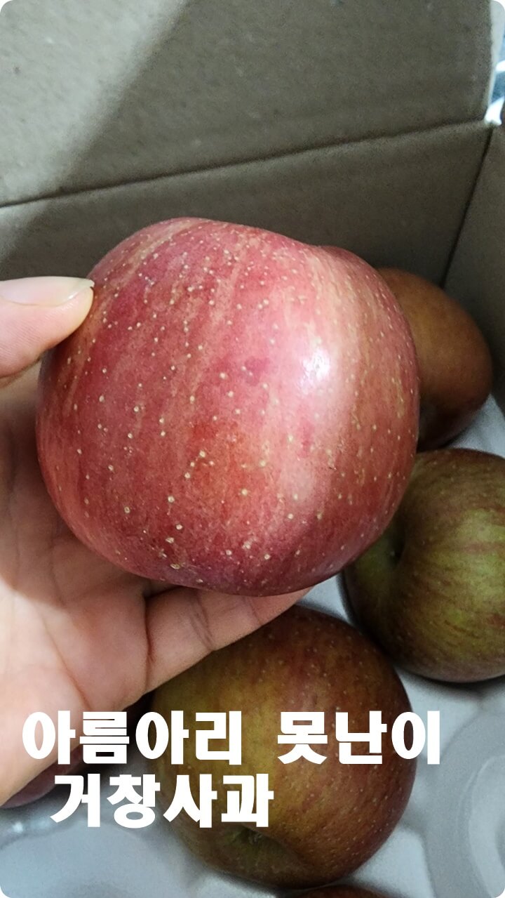사과을 들고 있는 손