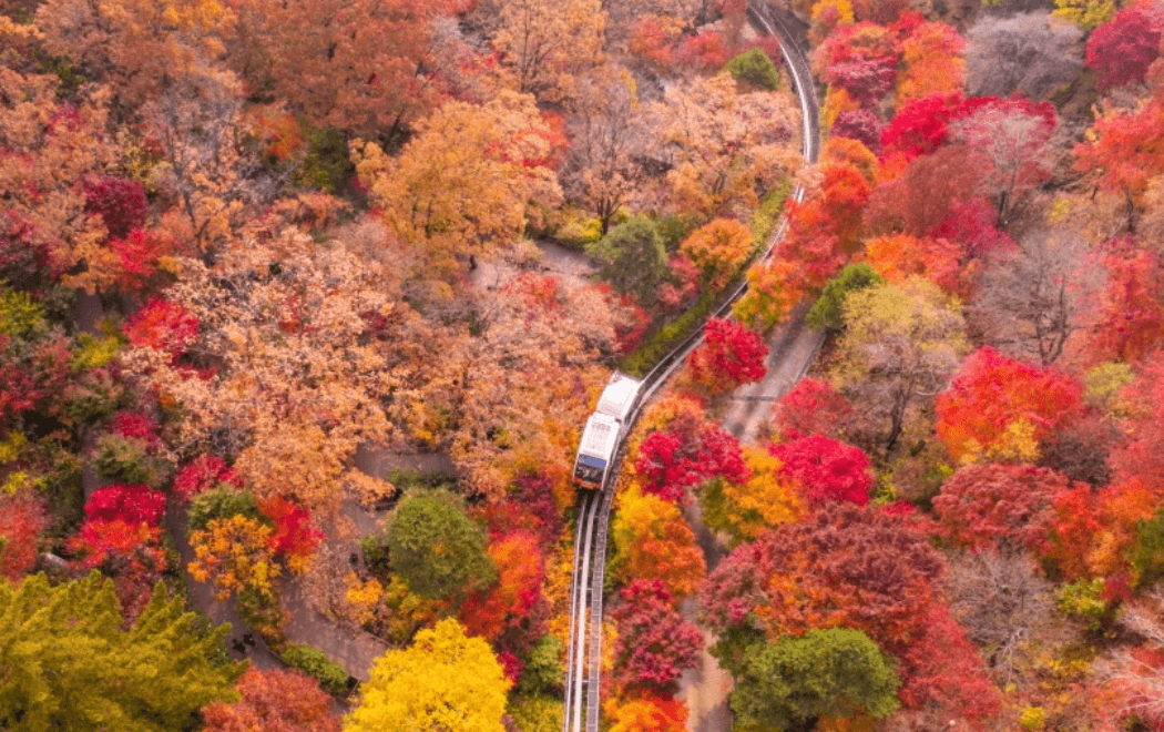 화담숲-홈페이지