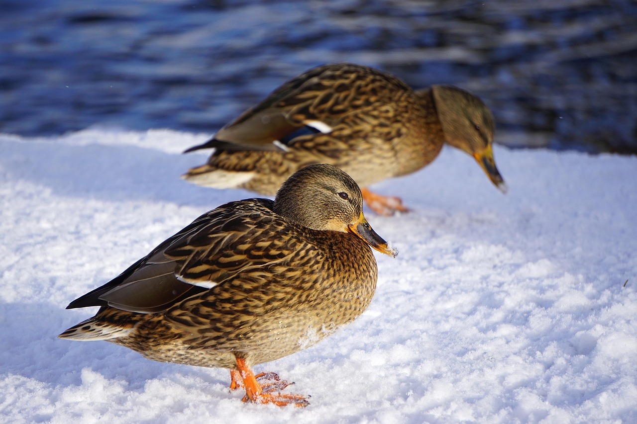 중도상환수수료 계산법