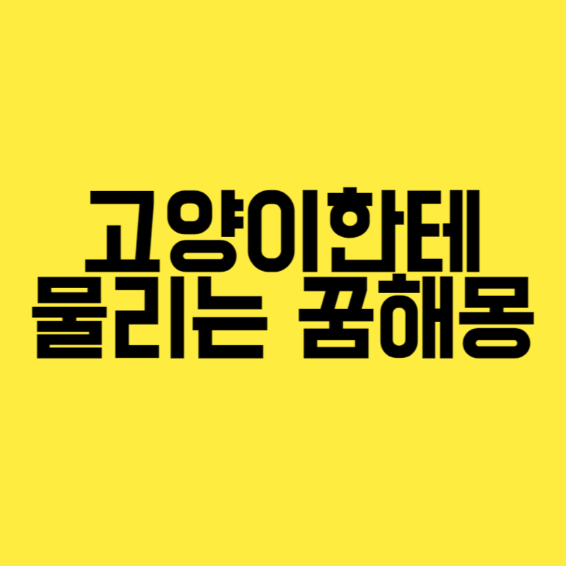 고양이한테 물리는 꿈해몽