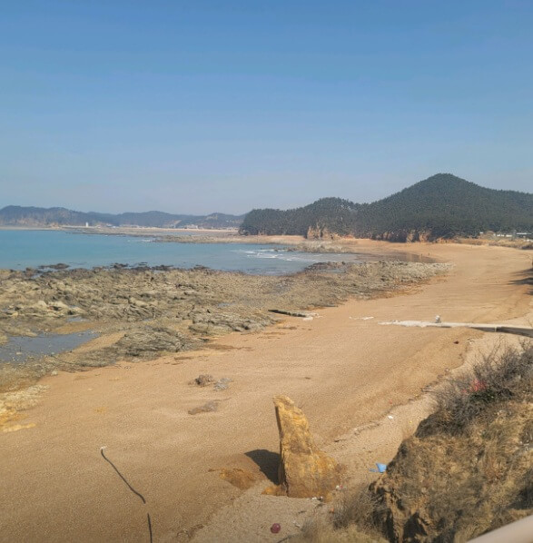 태안 지진 위치 지도