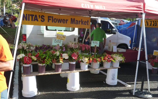 Kcc-파머스-마켓-사진