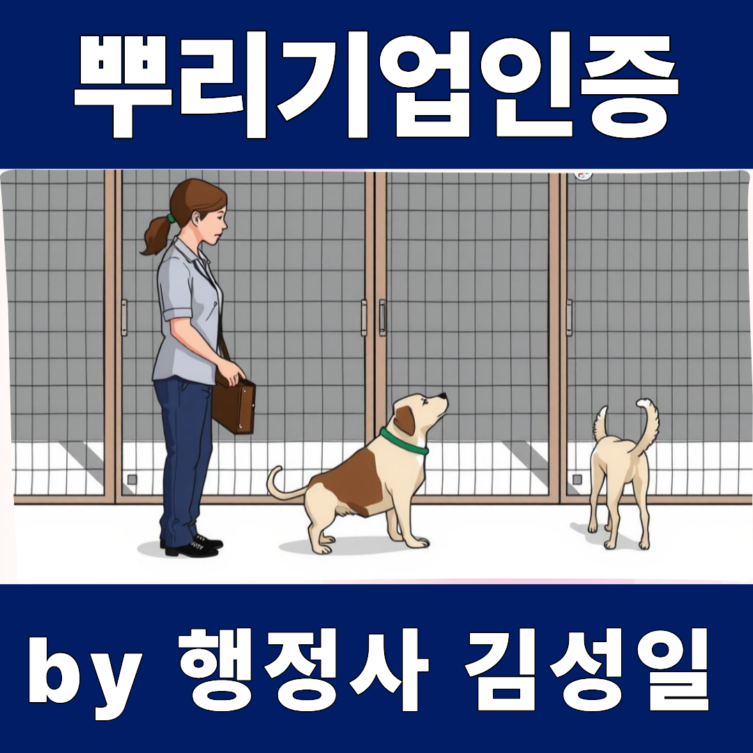 이노비즈 인증 절차 한눈에 보기, 신청부터 선정까지