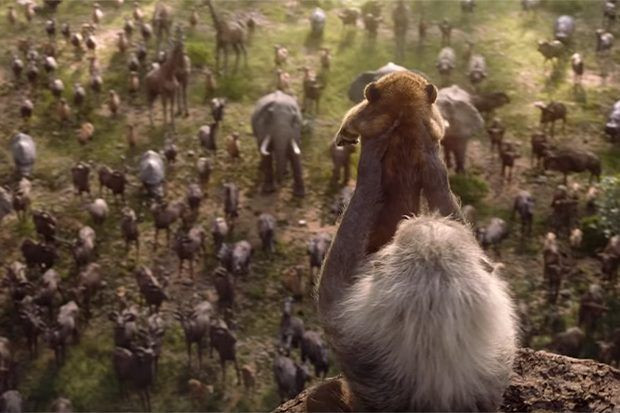 태어난 심바의 아들을 축하하러 모인 동물들