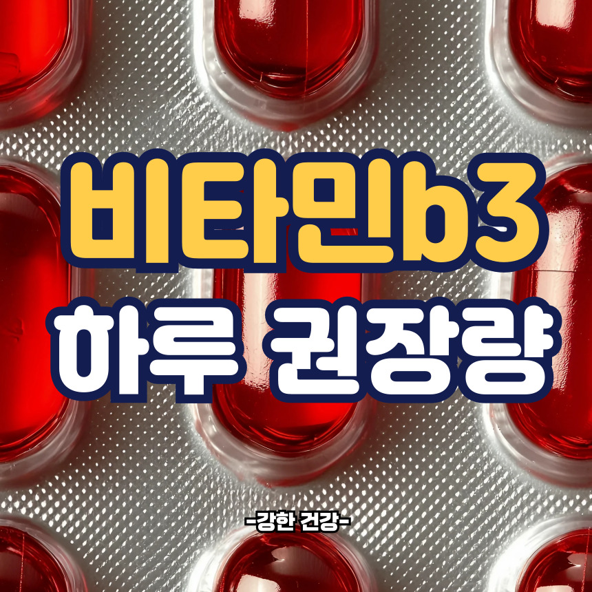 비타민b3 하루 권장량
