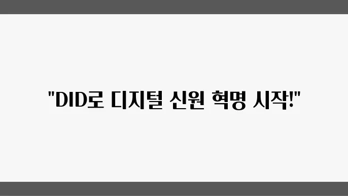 DID 의미, 코인 종류 등