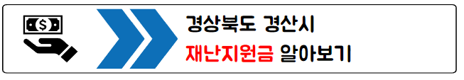 재난지원금