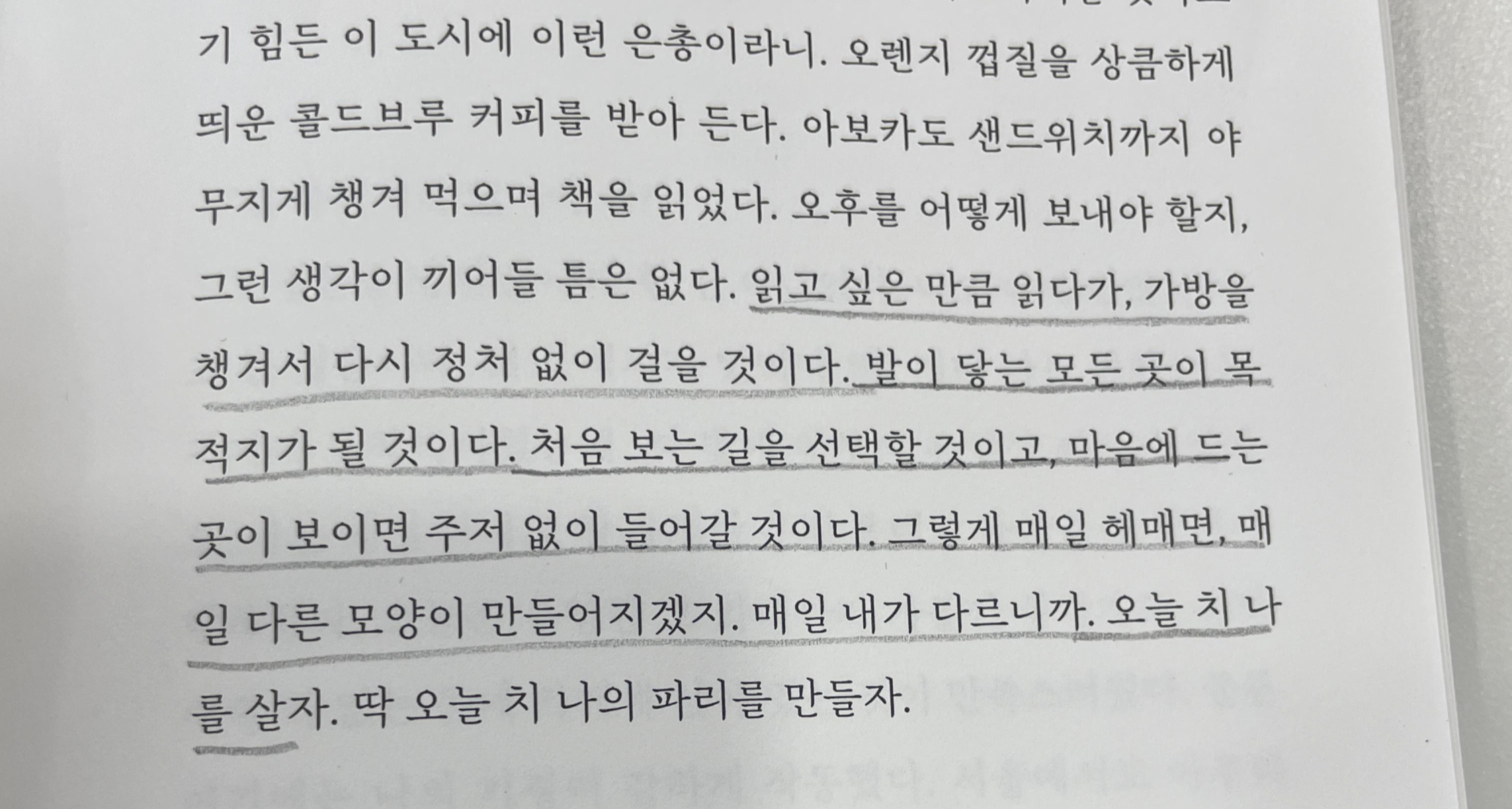 무정형의 삶 책 일부 