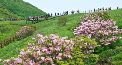 소백산철쭉제
