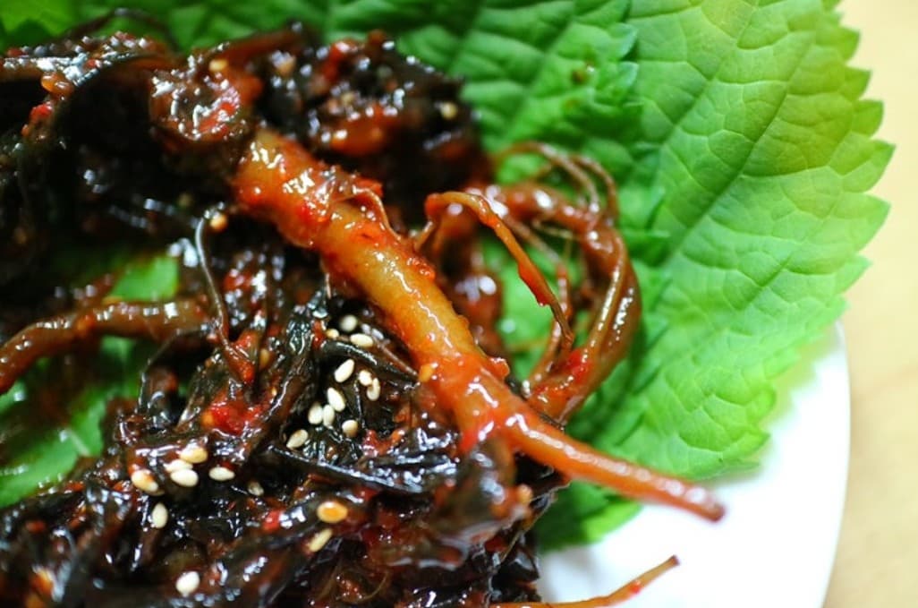 창가에서 키우는 고들빼기-쌉쌀한 맛과 건강한 밥상의 만남, 실내에서 도전하는 재배법