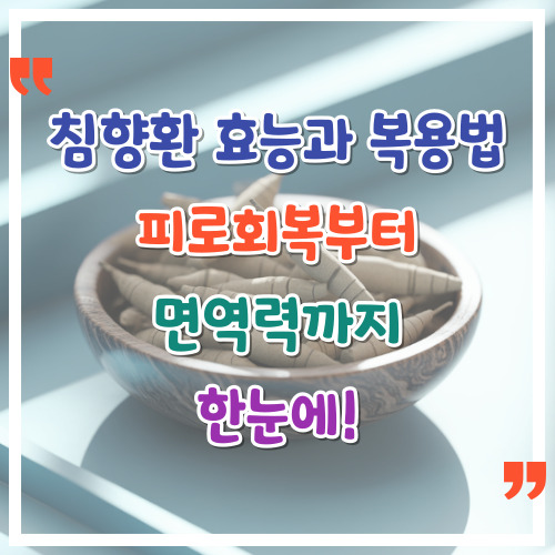 침향환-효능과-복용법-피로회복부터-면역력까지-한눈에