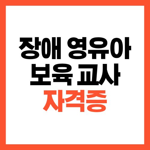 장애 영유아 보육 교사 자격증