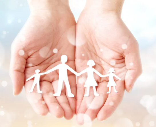 2024년노인지원정책사업