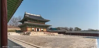 창덕궁 봄 꽃 개화 시기 근처 맛집 10선_22