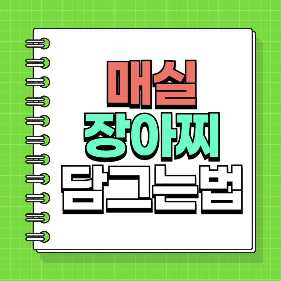 매실장아찌 담그는법 황 레시피