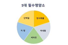 필수영양소