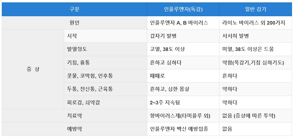 인플루엔자 독감과 일반 감기 구분하기