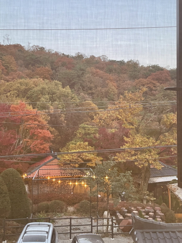 ํ์ด๊ทธ๋ผ์ด๋ ์ ๋นต์