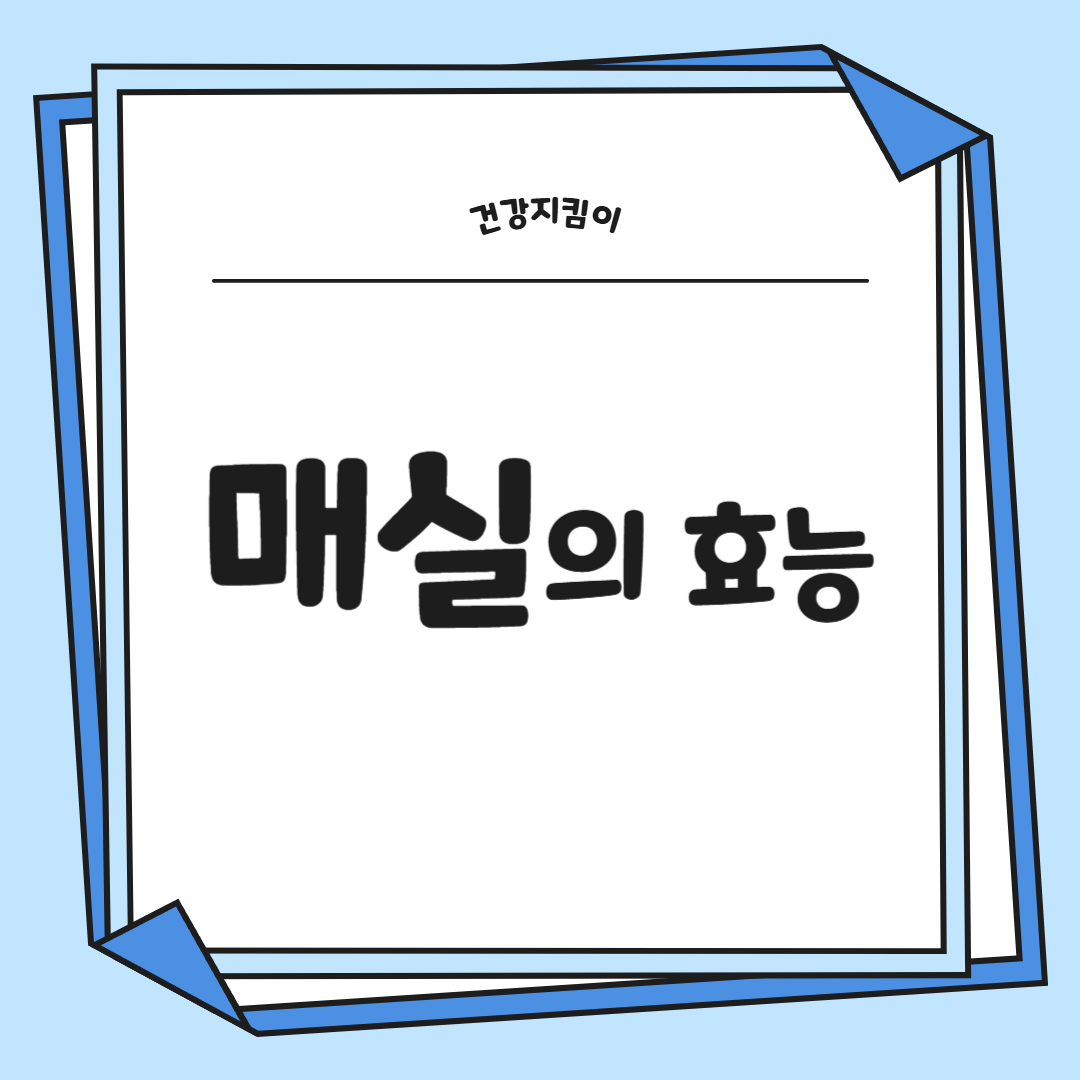 매실 효능과 부작용 고르는법 칼로리