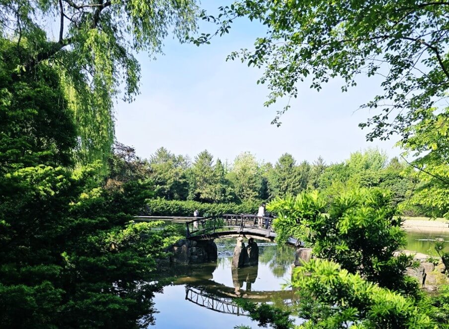 2025년 벽초지수목원 튤립 봄꽃축제 가이드!!