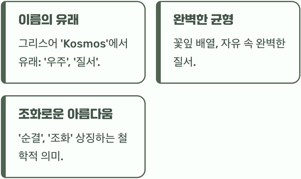 코스모스&amp;#44; 우주의 질서를 담다