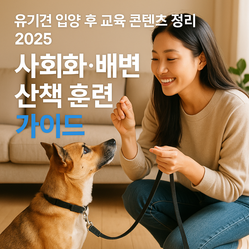 유기견 입양 후 교육 콘텐츠 정리 2025 ｜ 사회화·배변·산책 훈련 가이드