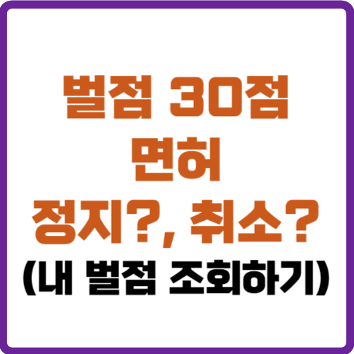 벌점 30점이면