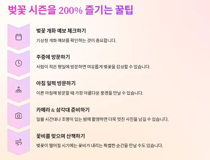 벚꽃 시즌을 200% 즐기는 꿀팁