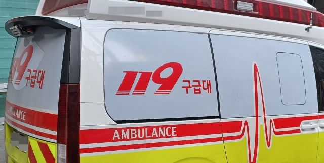 임신부 &lsquo;응급실 뺑뺑이&rsquo; 비극과 기적의 갈림길: 280km 이송 태아 사망 사건의 구조적 진단