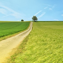 기후동행카드 신청방법