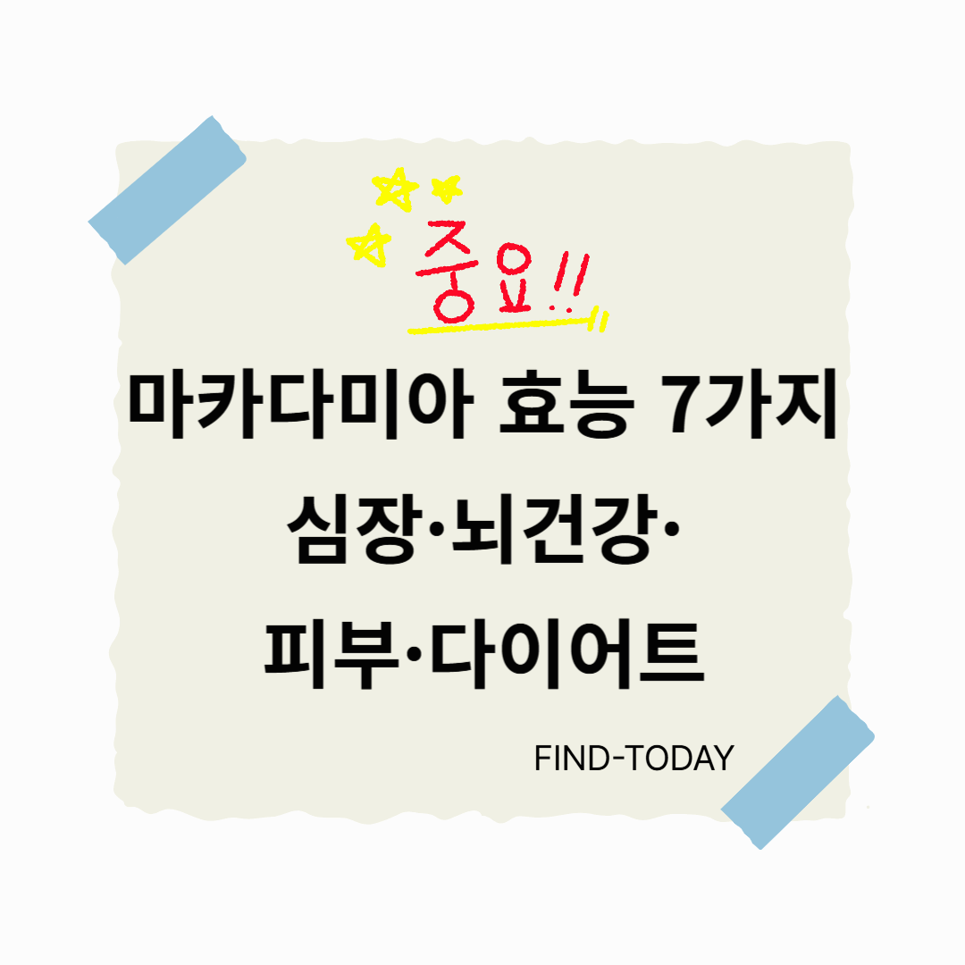 마카다미아의 효능 7가지, 심장·뇌건강·피부·다이어트