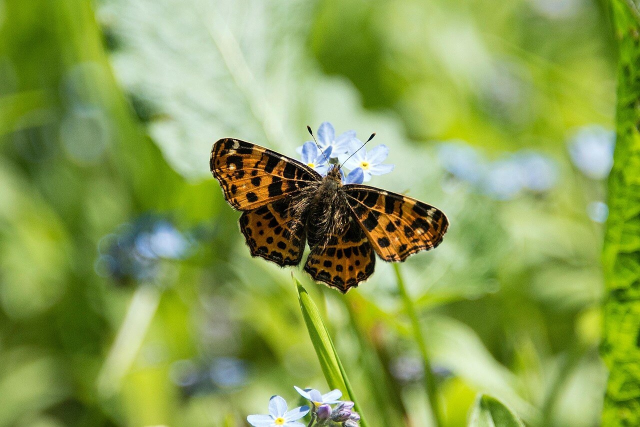 스마트계통 운영인력 수급 전망 (직무구조, 교육과정, 수요예측)