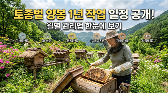 토종벌 양봉 1년 작업 일정 공개 잠면